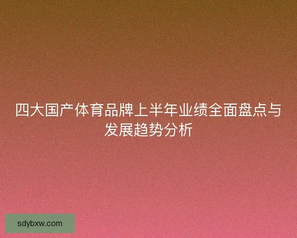 四大国产体育品牌上半年业绩全面盘点与发展趋势分析