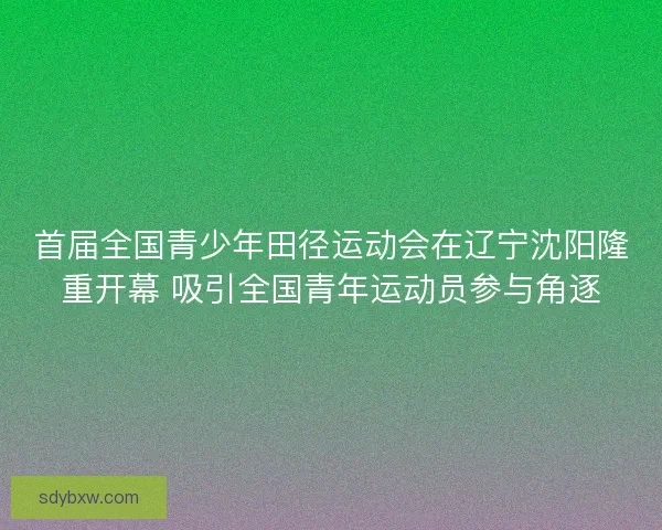 首届全国青少年田径运动会在辽宁沈阳隆重开幕 吸引全国青年运动员参与角逐 首届全国青少年田径运动会在辽宁沈阳隆重开幕 吸引全国青年运动员参与角逐