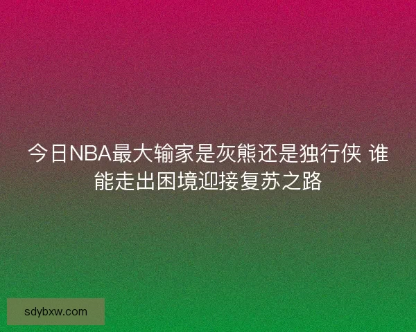 今日NBA最大输家是灰熊还是独行侠 谁能走出困境迎接复苏之路 今日NBA最大输家是灰熊还是独行侠 谁能走出困境迎接复苏之路