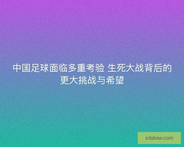 中国足球面临多重考验 生死大战背后的更大挑战与希望