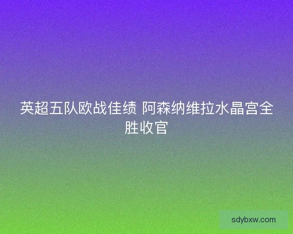 英超五队欧战佳绩 阿森纳维拉水晶宫全胜收官 英超五队欧战佳绩 阿森纳维拉水晶宫全胜收官