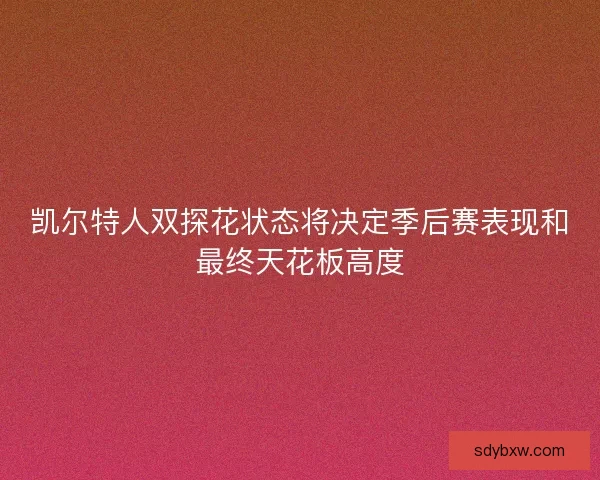 凯尔特人双探花状态将决定季后赛表现和最终天花板高度